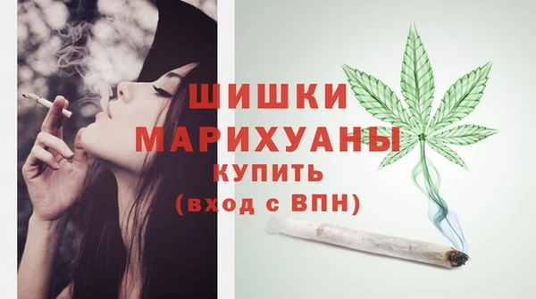 эйфоретик Аркадак