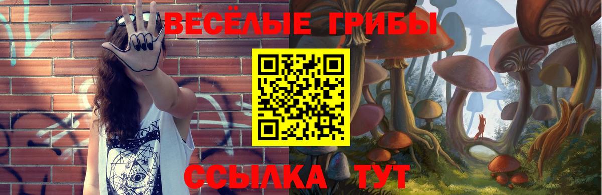 Галлюциногенные грибы ЛСД  Вход с VPN  Галлюциногенные грибы GOLDEN TEACHER  Шадринск 